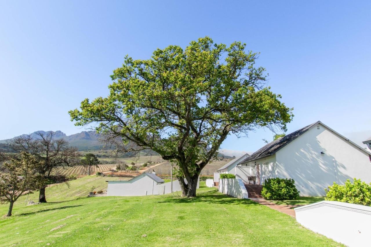 Hotel Webersburg Municipalità locale di Municipalità locale di Stellenbosch Esterno foto